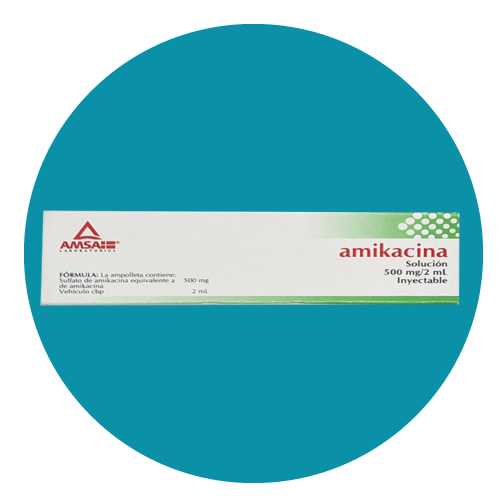 AMIKACINA 500 MG/2ML