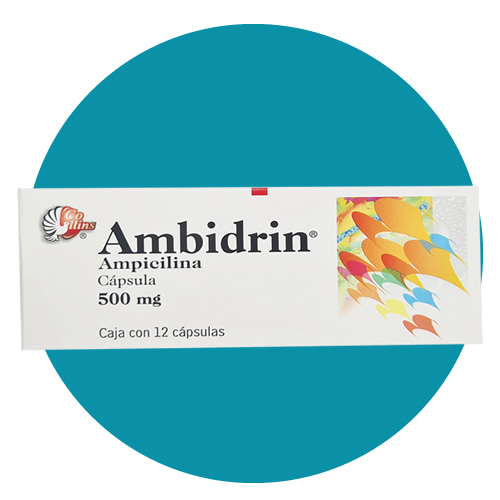 AMPICILINA 500 MG - AMBIDRIN