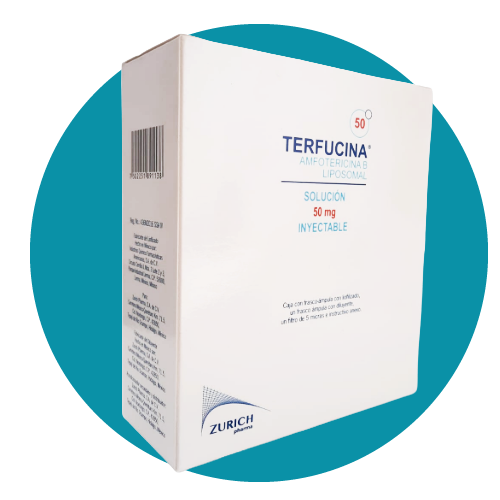 AMFOTERICINA B LIPOSOMAL 50 MG TERFUCINA