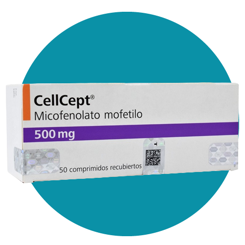 MICOFENOLATO DE MOFETILO 500 MG CELLCEPT